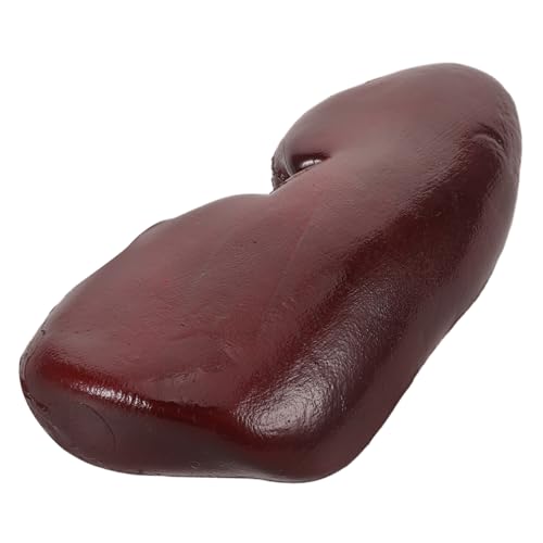 FRCOLOR Realistisches Schweinenieren Modell Halloween Deko Simulation Requisit Robustes Cosplay Zubehör Kreativer Foto und Scherzartikel für Partys und Horror Themen FRCOLOR Realistisches Schweinenieren Modell Halloween Deko Simulation Requisit Robustes Cosplay Zubehör Kreativer Foto und Scherzartikel für Partys und Horror Themen von FRCOLOR