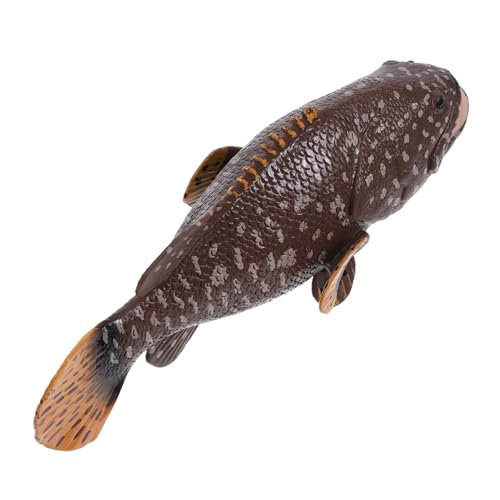 FRCOLOR Realistisches Zackenbarsch Modell Hochsimulierte Fischfigur für Aquarien Dekoration Perfektes Lernspielzeug für Sicher und Detailgetreu von FRCOLOR
