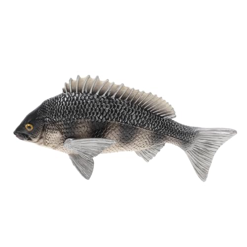 FRCOLOR Simulation Bream Kunststoff Fischmodell Lernspielzeug Meeresbewohner Figur Dekoration für Mädchen Badewanne von FRCOLOR