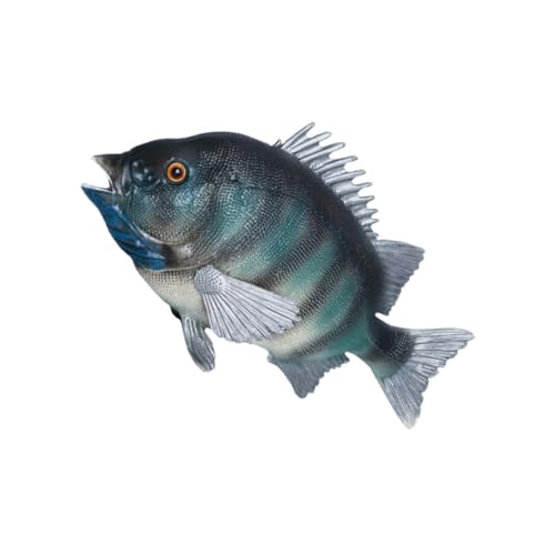 FRCOLOR Simulation Fisch Modell Kunststoff Tierfigur Deko für Lernspielzeug zur Tierkognition Realistisches Design Perfektes für Kleine FRCOLOR Simulation Fisch Modell Kunststoff Tierfigur Deko für Lernspielzeug zur Tierkognition Realistisches Design Perfektes für Kleine von FRCOLOR
