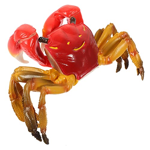 FRCOLOR Simulation Haarige Krabbe Spielset Kreatives Lernspielzeug Realistisches Krabbendekor Pädagogisches Meeres Tier Modell von FRCOLOR