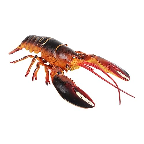 FRCOLOR Simulation Hummer Modell Realistische Hummerfigur für Pädagogisches zur Tiererziehung Dekoration für Aquarien und Mehr FRCOLOR Simulation Hummer Modell Realistische Hummerfigur für Pädagogisches zur Tiererziehung Dekoration für Aquarien und Mehr von FRCOLOR