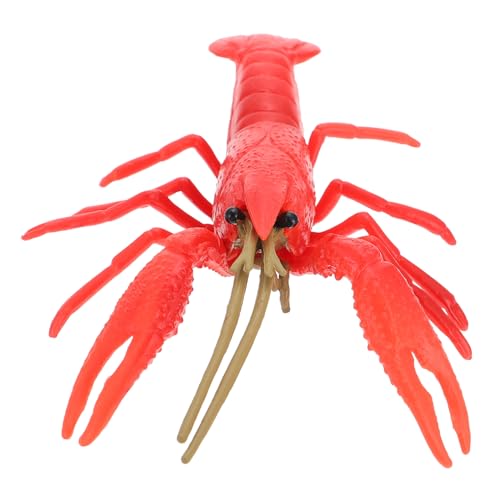 FRCOLOR Simulation Kleiner Hummer Modell Kinderkognitive Lernfigur Realistische Meeresdeko für Wohn und Kinderzimmer von FRCOLOR