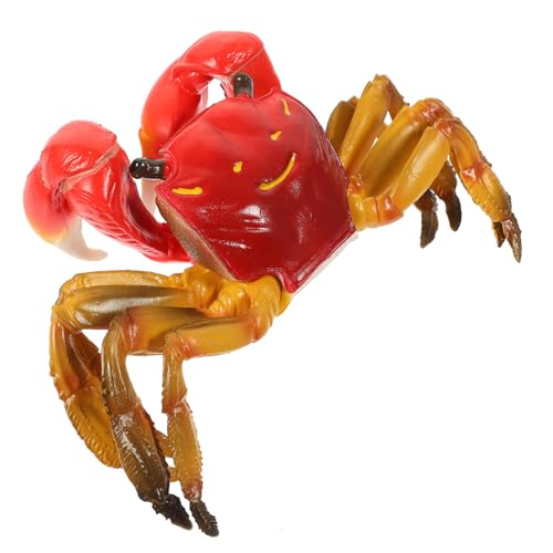FRCOLOR Simulation Krabbenmodell mit Realistischem Design Geruchsneutral Sichere Lernfigur für Interaktives Meerestier Dekorieren Fördert Kindliche Wahrnehmung und Motorik von FRCOLOR