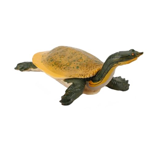 FRCOLOR Simulation Schildkrötenmodell aus Langlebigem Material Detailgetreues Tier Dekorative Figur Pädagogisch Nützlich für Sammler Geeignet als und Wohnaccessoire von FRCOLOR