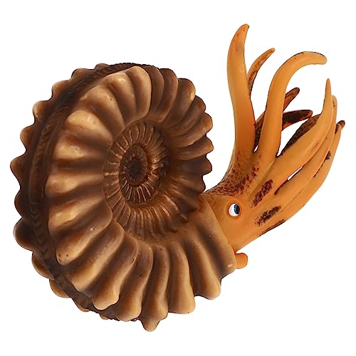 FRCOLOR Simulations Nautilus Figur Lernspielzeug Meerestier Modell Leicht Buntes Kunststoff Ornament für Jungen Mädchen Geburtstag von FRCOLOR