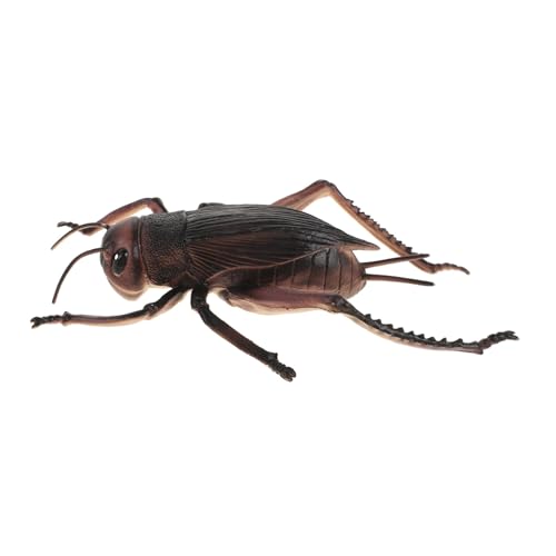 FRCOLOR Simulierte Große Grillenfigur aus PVC Realistische Insektenstatue Dekoratives Kunsthandwerk Vielseitige Tischdekoration für Zuhause und Büro für Freunde und Familie von FRCOLOR