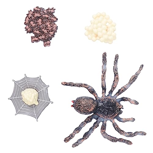 FRCOLOR Simulierte Tiermodelle Set aus Kunststoff Pädagogisches Lebenszyklus mit Verschiedenen Tierfiguren Ab Jahre als Lernhilfe und Foto Requisiten FRCOLOR Simulierte Tiermodelle Set aus Kunststoff Pädagogisches Lebenszyklus mit Verschiedenen Tierfiguren Ab Jahre als Lernhilfe und Foto Requisiten von FRCOLOR