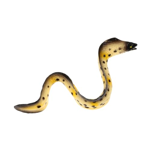 FRCOLOR Tierfigur Seeaalmodell Hochsimuliertes Meerestier für Lernspielzeug und Deko für Zuhause aus Langlebigem Realistische Details FRCOLOR Tierfigur Seeaalmodell Hochsimuliertes Meerestier für Lernspielzeug und Deko für Zuhause aus Langlebigem Realistische Details von FRCOLOR