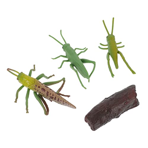 FRCOLOR Wachstumszyklus Modell Insekten Lernspielzeug Realistische Teilige Wachstumsphasen Figuren Pädagogisches Miniatur Evolutionsmodell für Kinderzimmer Dekoration und von FRCOLOR