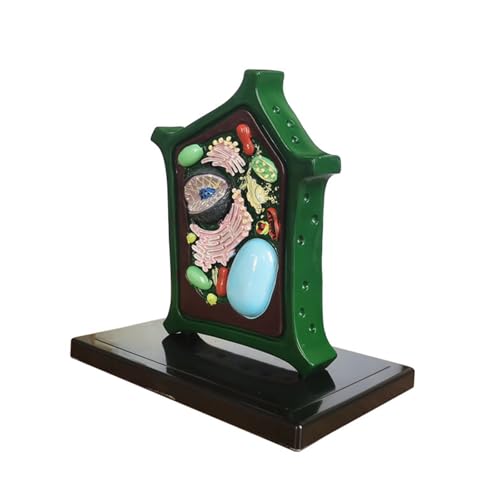 Pflanzenanatomie Modell Biologie Wissenschaft Modell Lernhilfe Pflanzenzelle Biologie Lehrhilfe für Klassenzimmer Display Zellwissenschaft Anatomie Lernen für Studium Pflanzenanatomie Modell Biologie Wissenschaft Modell Lernhilfe Pflanzenzelle Biologie Lehrhilfe für Klassenzimmer Display Zellwissenschaft Anatomie Lernen für Studium von FROMCEO