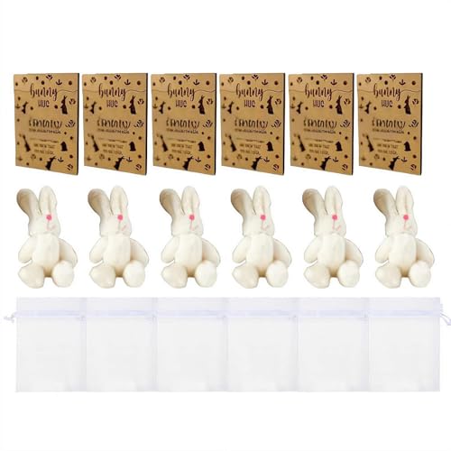 Hasen-Umarmung, Partyzubehör, Ostertasche, Hasen-Umarmung, Geschenk mit Karte, Organza-Beutel für Lehrer, Studenten, Ostern, Party, Gastgeschenke, Brauthochzeit Hasen-Umarmung, Partyzubehör, Ostertasche, Hasen-Umarmung, Geschenk mit Karte, Organza-Beutel für Lehrer, Studenten, Ostern, Party, Gastgeschenke, Brauthochzeit von FROVOL