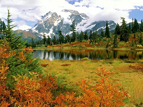 1000 Stück Puzzles für Kinder im Alter von 14 Jahren, Mount Shuksan Washington Park 75x50cm 1000 Stück Puzzles für Kinder im Alter von 14 Jahren, Mount Shuksan Washington Park 75x50cm von FRUKAT
