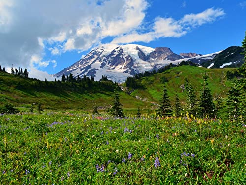 1000 Teile Erwachsenenpuzzle ab 14 Jahren, Berggipfelschnee 75x50cm 1000 Teile Erwachsenenpuzzle ab 14 Jahren, Berggipfelschnee 75x50cm von FRUKAT
