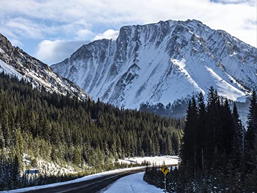 1000 Teile Erwachsenenpuzzle ab 14 Jahren, Bergwaldstraße 75x50cm von FRUKAT