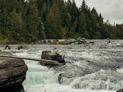 1000 Teile Erwachsenenpuzzle ab 14 Jahren, Fluss Fluss Bäume 75x50cm 1000 Teile Erwachsenenpuzzle ab 14 Jahren, Fluss Fluss Bäume 75x50cm von FRUKAT