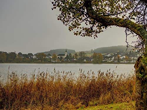 1000 Teile Erwachsenenpuzzle ab 14 Jahren, Gras Bäume Wälder 75x50cm von FRUKAT