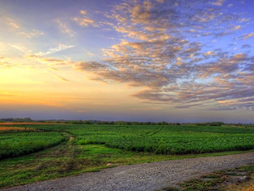 1000 Teile Erwachsenenpuzzle ab 14 Jahren, Grasfeld Himmel 75x50cm 1000 Teile Erwachsenenpuzzle ab 14 Jahren, Grasfeld Himmel 75x50cm von FRUKAT