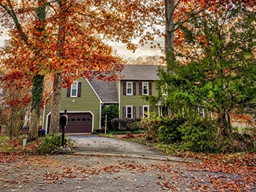 1000 Teile Erwachsenenpuzzle ab 14 Jahren, Hausbäume Blätter 75x50cm 1000 Teile Erwachsenenpuzzle ab 14 Jahren, Hausbäume Blätter 75x50cm von FRUKAT