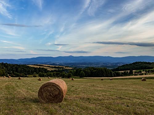 1000 Teile Erwachsenenpuzzle ab 14 Jahren, Heufeldgras 75x50cm 1000 Teile Erwachsenenpuzzle ab 14 Jahren, Heufeldgras 75x50cm von FRUKAT