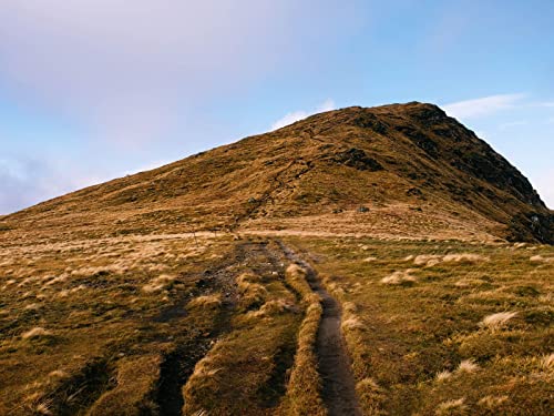 1000 Teile Erwachsenenpuzzle ab 14 Jahren, Hügelgrasrelief 75x50cm 1000 Teile Erwachsenenpuzzle ab 14 Jahren, Hügelgrasrelief 75x50cm von FRUKAT