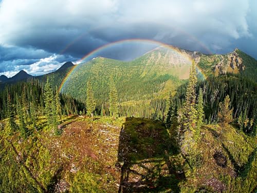 1000 Teile Erwachsenenpuzzle ab 14 Jahren, Regenbogenbäume Berge 75x50cm 1000 Teile Erwachsenenpuzzle ab 14 Jahren, Regenbogenbäume Berge 75x50cm von FRUKAT