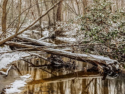 1000 Teile Erwachsenenpuzzle ab 14 Jahren, Wälder Bäume Fluss 75x50cm 1000 Teile Erwachsenenpuzzle ab 14 Jahren, Wälder Bäume Fluss 75x50cm von FRUKAT