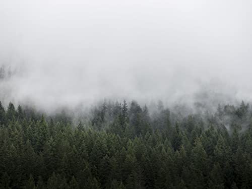 1000 Teile Erwachsenenpuzzle ab 14 Jahren, Wälder Bäume Nebel 75x50cm 1000 Teile Erwachsenenpuzzle ab 14 Jahren, Wälder Bäume Nebel 75x50cm von FRUKAT