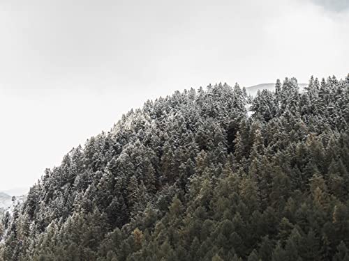 1000 Teile Erwachsenenpuzzle ab 14 Jahren, Wälder Berghang 75x50cm von FRUKAT