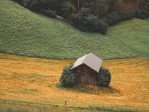1000 Teile Impossible Puzzle,Geschicklichkeitsspiel für Die Ganze Familie - Wälder Berge Haus 75x50cm 1000 Teile Impossible Puzzle,Geschicklichkeitsspiel für Die Ganze Familie - Wälder Berge Haus 75x50cm von FRUKAT