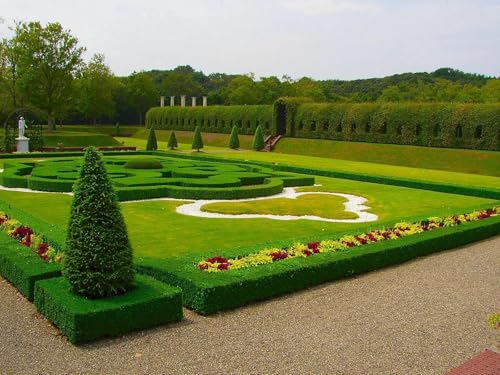 1000 Teile Impossible Puzzle,Geschicklichkeitsspiel für die ganze Familie-Garten, Rasen, Park, Design, Grün, Bewölkt 75x50cm 1000 Teile Impossible Puzzle,Geschicklichkeitsspiel für die ganze Familie-Garten, Rasen, Park, Design, Grün, Bewölkt 75x50cm von FRUKAT