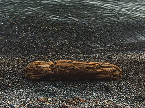 1000 Teile Puzzle,Farbenfrohes Puzzle für Erwachsene und Kinder ab 14 Jahren - Log Coast Pebbles 75x50cm von FRUKAT