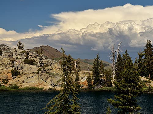 1000 Teile Puzzle,Geschicklichkeitsspiel für Die Ganze Familie, Berg Fluss Baum 75x50cm 1000 Teile Puzzle,Geschicklichkeitsspiel für Die Ganze Familie, Berg Fluss Baum 75x50cm von FRUKAT