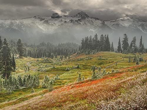 1000 Teile Puzzle,Geschicklichkeitsspiel für Die Ganze Familie, Berge Frost Nebel 75x50cm von FRUKAT