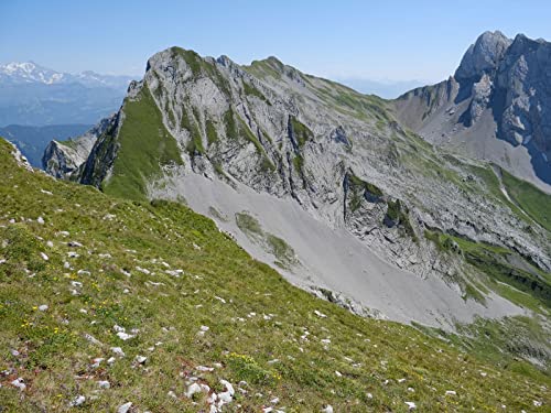 1000 Teile Puzzle,Geschicklichkeitsspiel für Die Ganze Familie, Berge Hänge Gras 75x50cm 1000 Teile Puzzle,Geschicklichkeitsspiel für Die Ganze Familie, Berge Hänge Gras 75x50cm von FRUKAT
