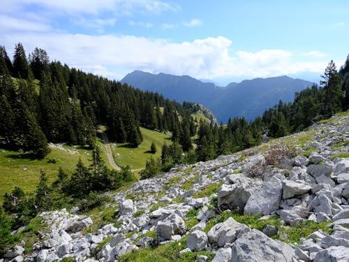 1000 Teile Puzzle,Geschicklichkeitsspiel für Die Ganze Familie, Berge Steine Bäume 75x50cm 1000 Teile Puzzle,Geschicklichkeitsspiel für Die Ganze Familie, Berge Steine Bäume 75x50cm von FRUKAT