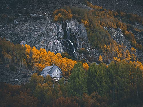 1000 Teile Puzzle,Geschicklichkeitsspiel für Die Ganze Familie, Haus Berge Wälder 75x50cm 1000 Teile Puzzle,Geschicklichkeitsspiel für Die Ganze Familie, Haus Berge Wälder 75x50cm von FRUKAT