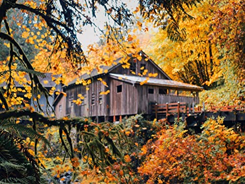 1000 Teile Puzzle,Geschicklichkeitsspiel für Die Ganze Familie, Haus Holz Natur 75x50cm 1000 Teile Puzzle,Geschicklichkeitsspiel für Die Ganze Familie, Haus Holz Natur 75x50cm von FRUKAT