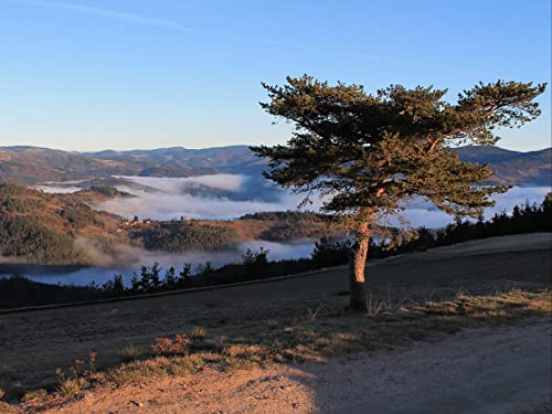 1000 Teile Puzzle,Geschicklichkeitsspiel für Die Ganze Familie, Hügel Berge Bäume 75x50cm 1000 Teile Puzzle,Geschicklichkeitsspiel für Die Ganze Familie, Hügel Berge Bäume 75x50cm von FRUKAT