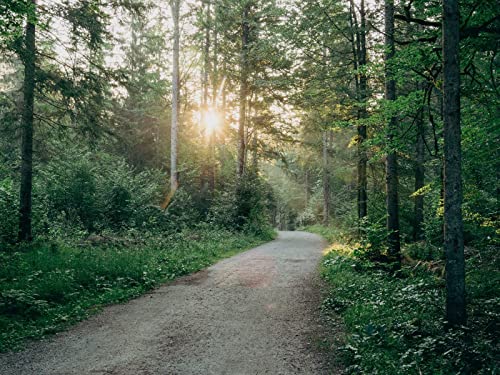 1000 Teile Puzzle,Geschicklichkeitsspiel für Die Ganze Familie, Road Turn Forests 75x50cm 1000 Teile Puzzle,Geschicklichkeitsspiel für Die Ganze Familie, Road Turn Forests 75x50cm von FRUKAT