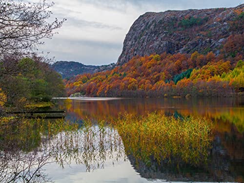 1000 Teile Puzzle,Geschicklichkeitsspiel für Die Ganze Familie, See Berge Bäume 75x50cm 1000 Teile Puzzle,Geschicklichkeitsspiel für Die Ganze Familie, See Berge Bäume 75x50cm von FRUKAT