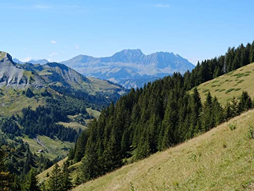 1000 Teile Puzzle,Geschicklichkeitsspiel für Die Ganze Familie, Wälder Bäume Berge 75x50cm 1000 Teile Puzzle,Geschicklichkeitsspiel für Die Ganze Familie, Wälder Bäume Berge 75x50cm von FRUKAT