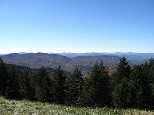 1000 Teile Puzzle,Geschicklichkeitsspiel für Die Ganze Familie, Wälder Berge Bäume 75x50cm 1000 Teile Puzzle,Geschicklichkeitsspiel für Die Ganze Familie, Wälder Berge Bäume 75x50cm von FRUKAT