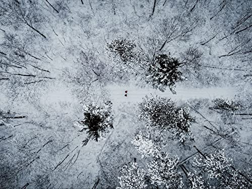 1000 Teile Puzzle,Geschicklichkeitsspiel für Die Ganze Familie, Wälder Schnee Luftaufnahme 75x50cm 1000 Teile Puzzle,Geschicklichkeitsspiel für Die Ganze Familie, Wälder Schnee Luftaufnahme 75x50cm von FRUKAT