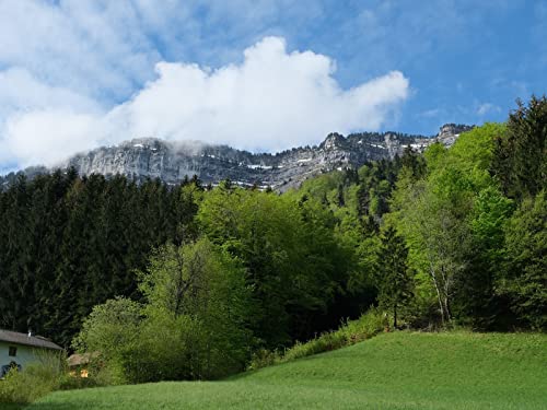 1000 Teile Puzzle,Geschicklichkeitsspiel für Die Ganze Familie - Berg Felsen Bäume 75x50cm 1000 Teile Puzzle,Geschicklichkeitsspiel für Die Ganze Familie - Berg Felsen Bäume 75x50cm von FRUKAT