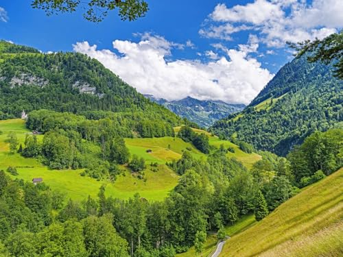 1000 Teile Puzzle,Geschicklichkeitsspiel für Die Ganze Familie - Berge Bäume Landschaft 75x50cm 1000 Teile Puzzle,Geschicklichkeitsspiel für Die Ganze Familie - Berge Bäume Landschaft 75x50cm von FRUKAT