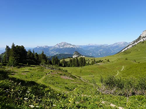 1000 Teile Puzzle,Geschicklichkeitsspiel für Die Ganze Familie - Berge Rasen Bäume 75x50cm von FRUKAT