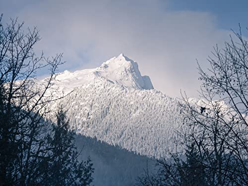 1000 Teile Puzzle,Geschicklichkeitsspiel für Die Ganze Familie - Berggipfel schneebedeckt 75x50cm 1000 Teile Puzzle,Geschicklichkeitsspiel für Die Ganze Familie - Berggipfel schneebedeckt 75x50cm von FRUKAT