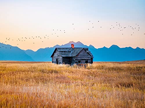 1000 Teile Puzzle,Geschicklichkeitsspiel für Die Ganze Familie - Haus Feld Berge 75x50cm 1000 Teile Puzzle,Geschicklichkeitsspiel für Die Ganze Familie - Haus Feld Berge 75x50cm von FRUKAT