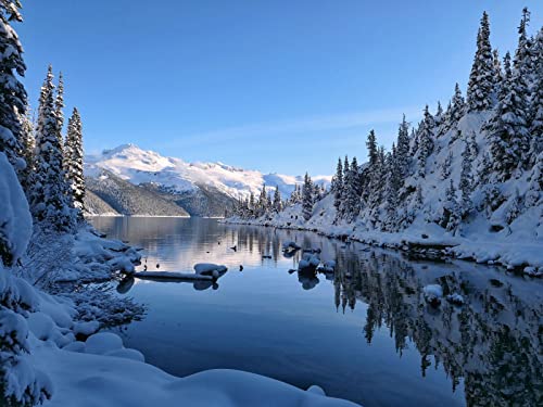 1000 Teile Puzzle,Geschicklichkeitsspiel für Die Ganze Familie - See Schnee Berg 75x50cm 1000 Teile Puzzle,Geschicklichkeitsspiel für Die Ganze Familie - See Schnee Berg 75x50cm von FRUKAT